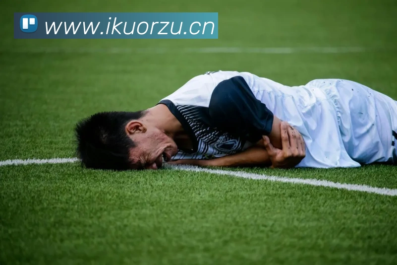 开云手机在线登录官网APP 封面图